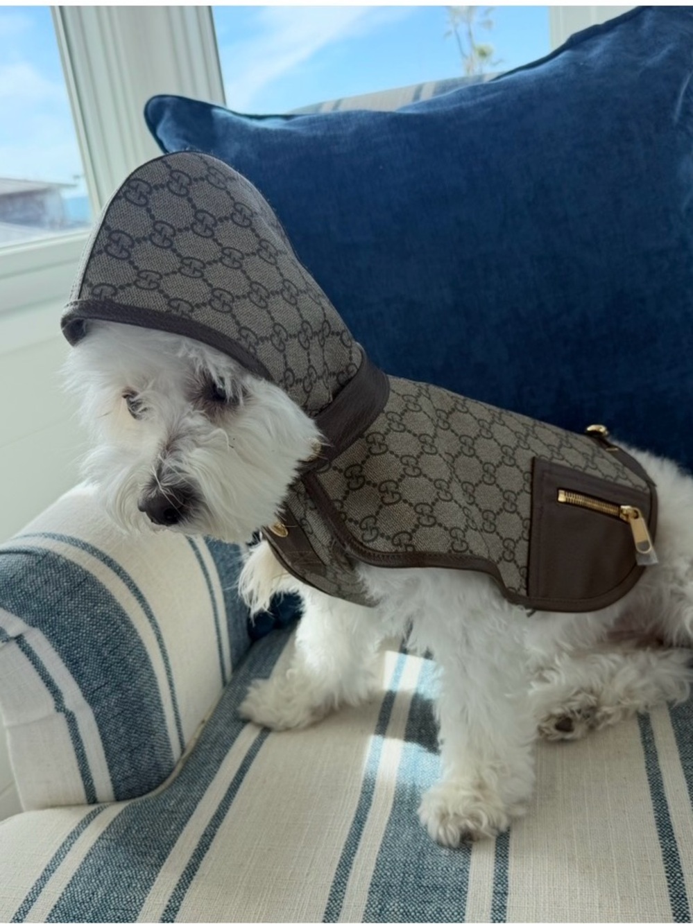 Gucci Brown GG Monogram Dog Hooded Coat